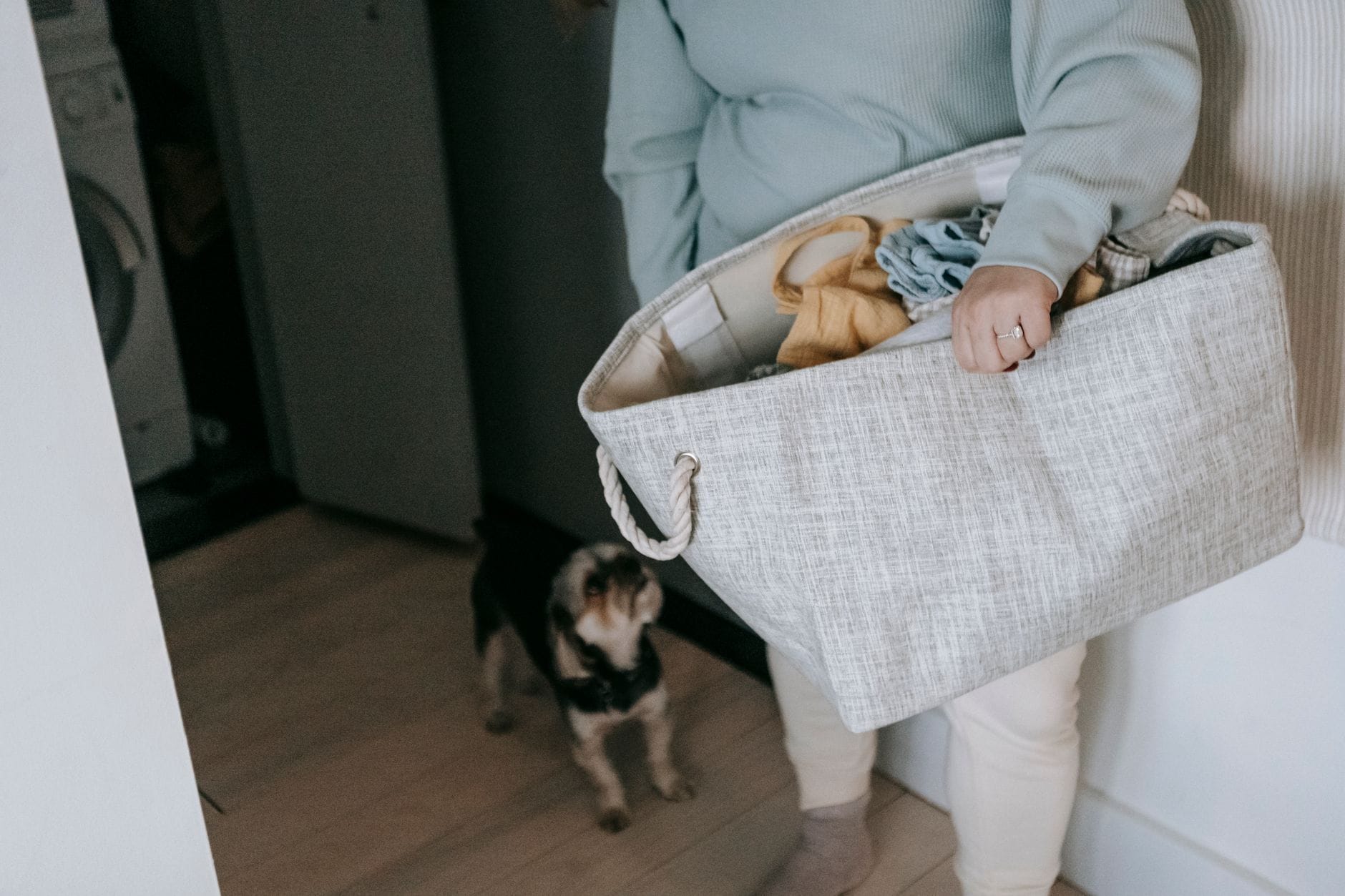 Kobieta z koszem prania obok małego psa shih tzu w jasnym pokoju